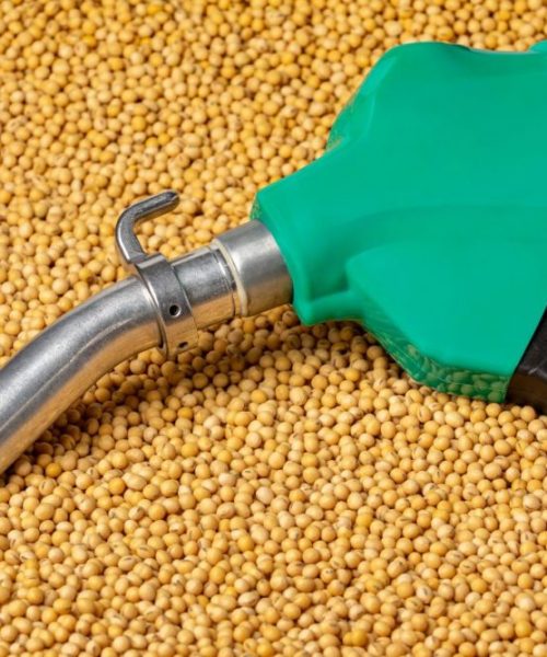 biofuels-soybeans_cr-JJ-GOUIN-STOCK.ADOBE.COM_e