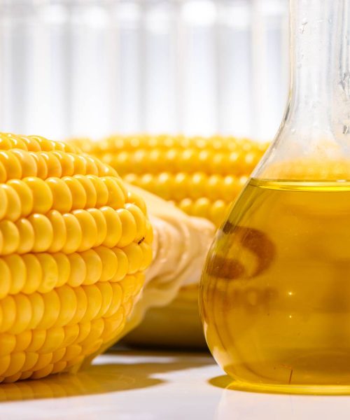 Biofuel from corn, oil and biofuel solution.